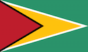 Guyana flag