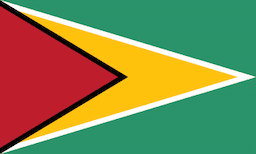 Guyana flag