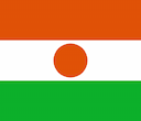 Niger flag