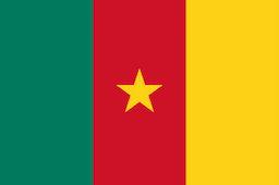 Cameroon flag