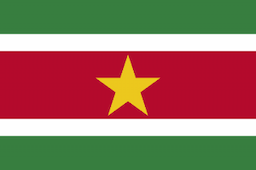 Suriname flag